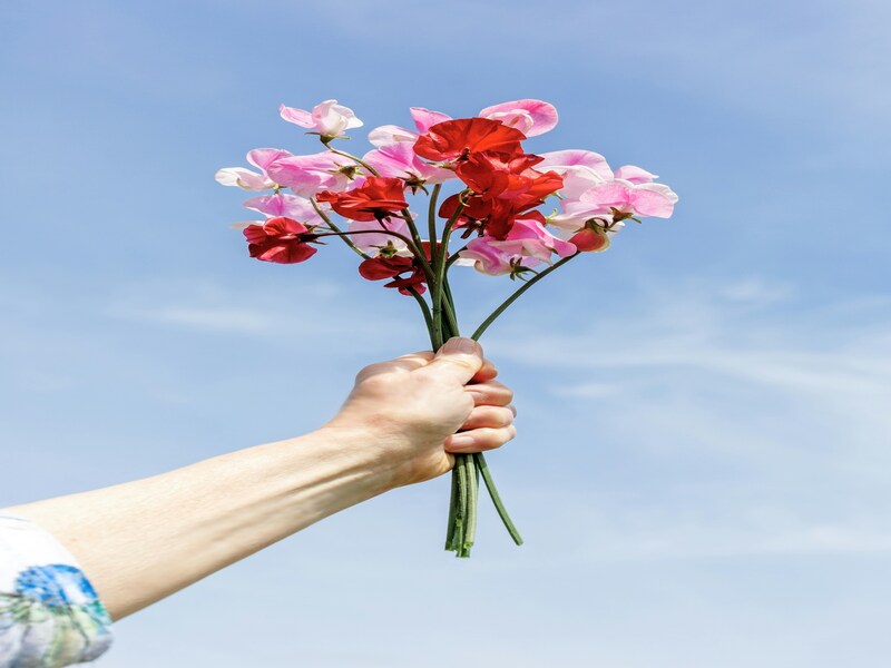 ⚙️ Table Talk #133: The Quiet Power of Compliments 💪