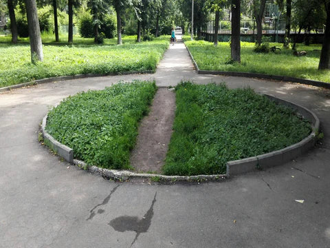⚙️ Table Talk #128: Taking The Path More Trodden🚶